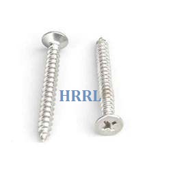 CSK Phillips Head Self Tapping Screws Manufacturer