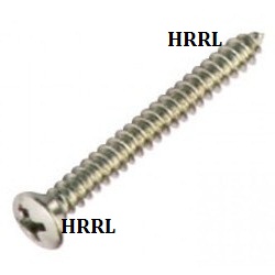 Raised Phillips Head Self Tapping Screw exporter
