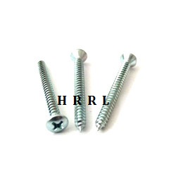 Round Head Self Tapping Screw Exporter