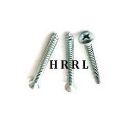 Round Head Self Tapping Screw Manufacturer