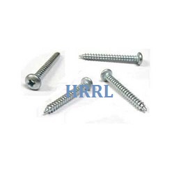 Phillips Head Screw Supplier in Badli