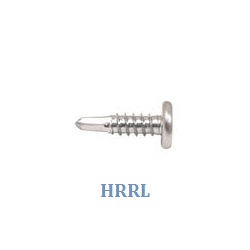 Cheese Head Self Tapping Screw in Badli