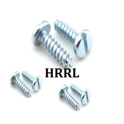 Pan Head Self Tapping Screw in Badli