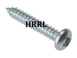 Pan Head Self Tapping Screw exporter in Badli