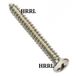 Raised Phillips Head Self Tapping Screw In Badli