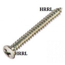 Raised Phillips Head Self Tapping Screw exporter In Badli